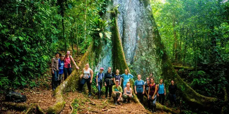 Manu Cultural Zone 3 days and 2 nights - Local Trekkers Peru - Local Trekkers Peru